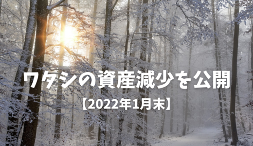 【2022年1月末】ワタシの資産減少を公開
